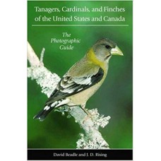 Beadle, David and Rising, James D.. Tanagers, Cardinals, and Finches of the United States and Canada: The Photographic Guide